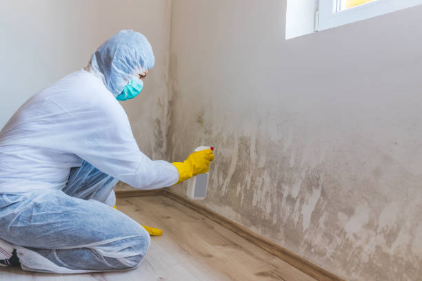 Licensed Mold Removal service in Saint Leonard, MD - WQB Mold Removal