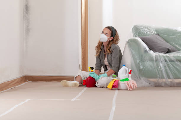 Reliable Mold Removal contractor in Saint Leonard, MD by WQB Mold Removal